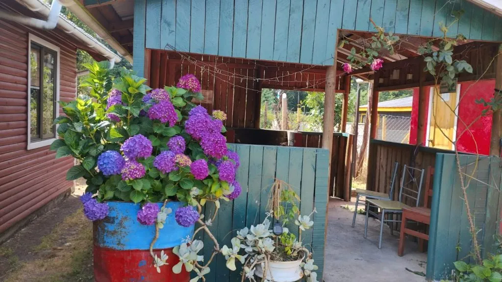 Piscina de Los Nogales 2 con borde amarillo y árboles al fondo